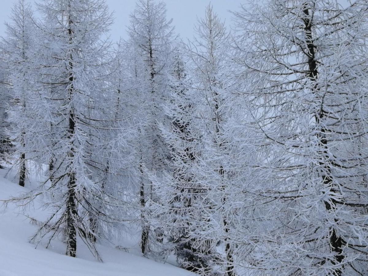 Hotel Dolomiti Levico Terme Ngoại thất bức ảnh
